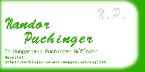 nandor puchinger business card